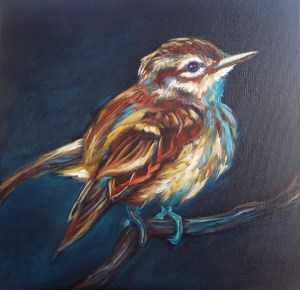 Other stuff about the bird